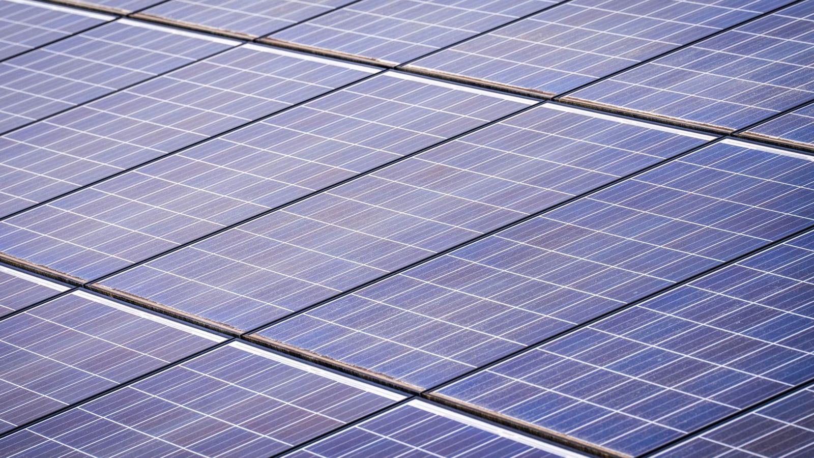 Adani Green Energy sets July 22 board meet after rally