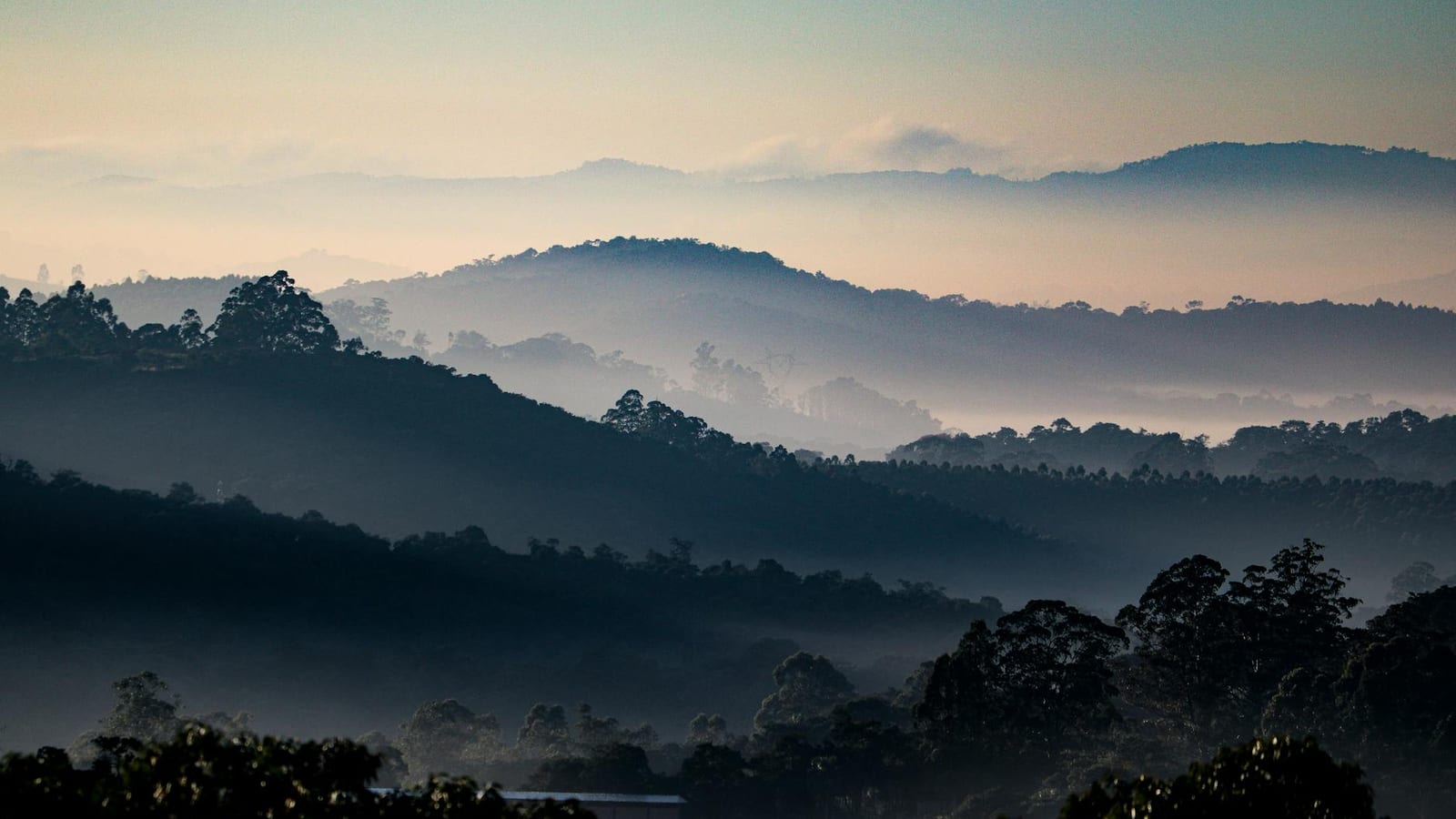 Coolcations Push Indian Travellers Beyond Hill Hubs