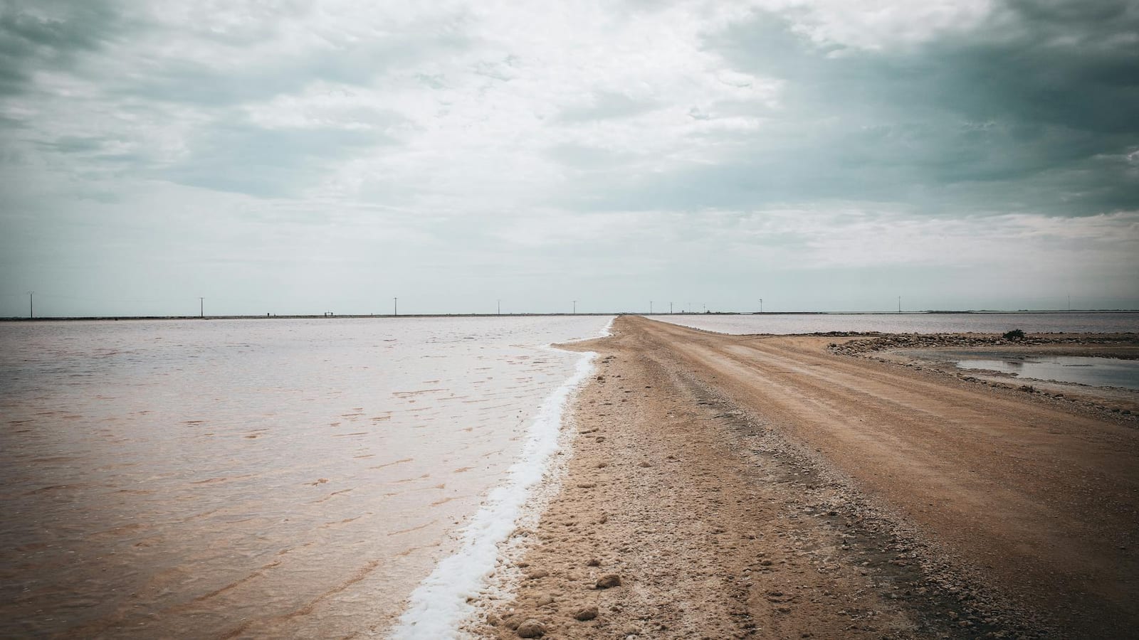 Diesel Shortage Puts Gujarat Salt Harvest at Risk