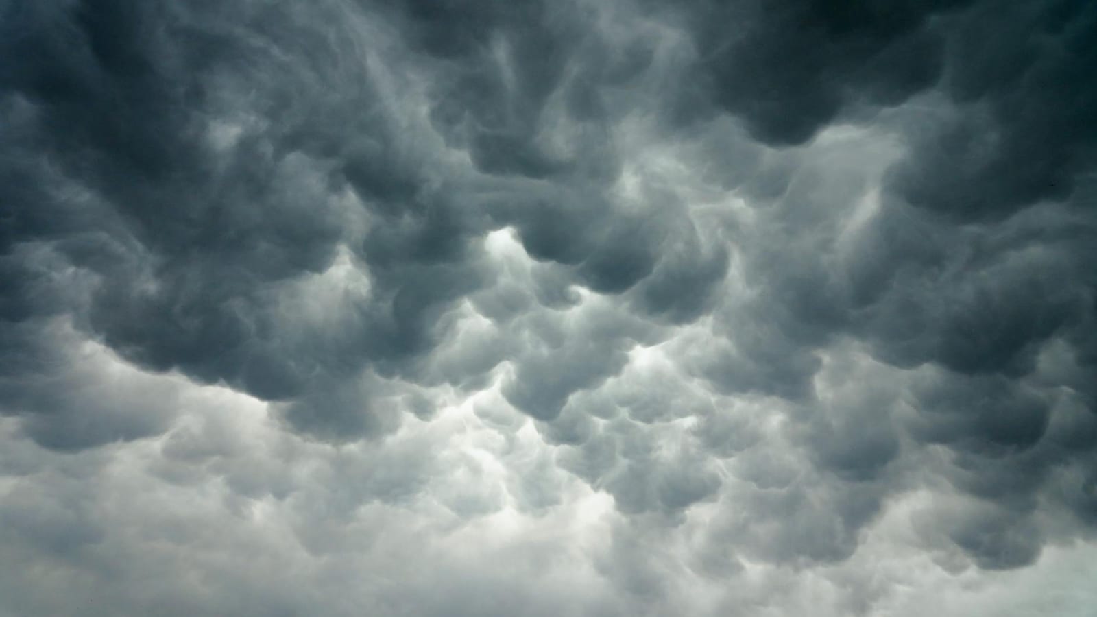 El Nino Risk Grows for Monsoon Rains, Food Prices