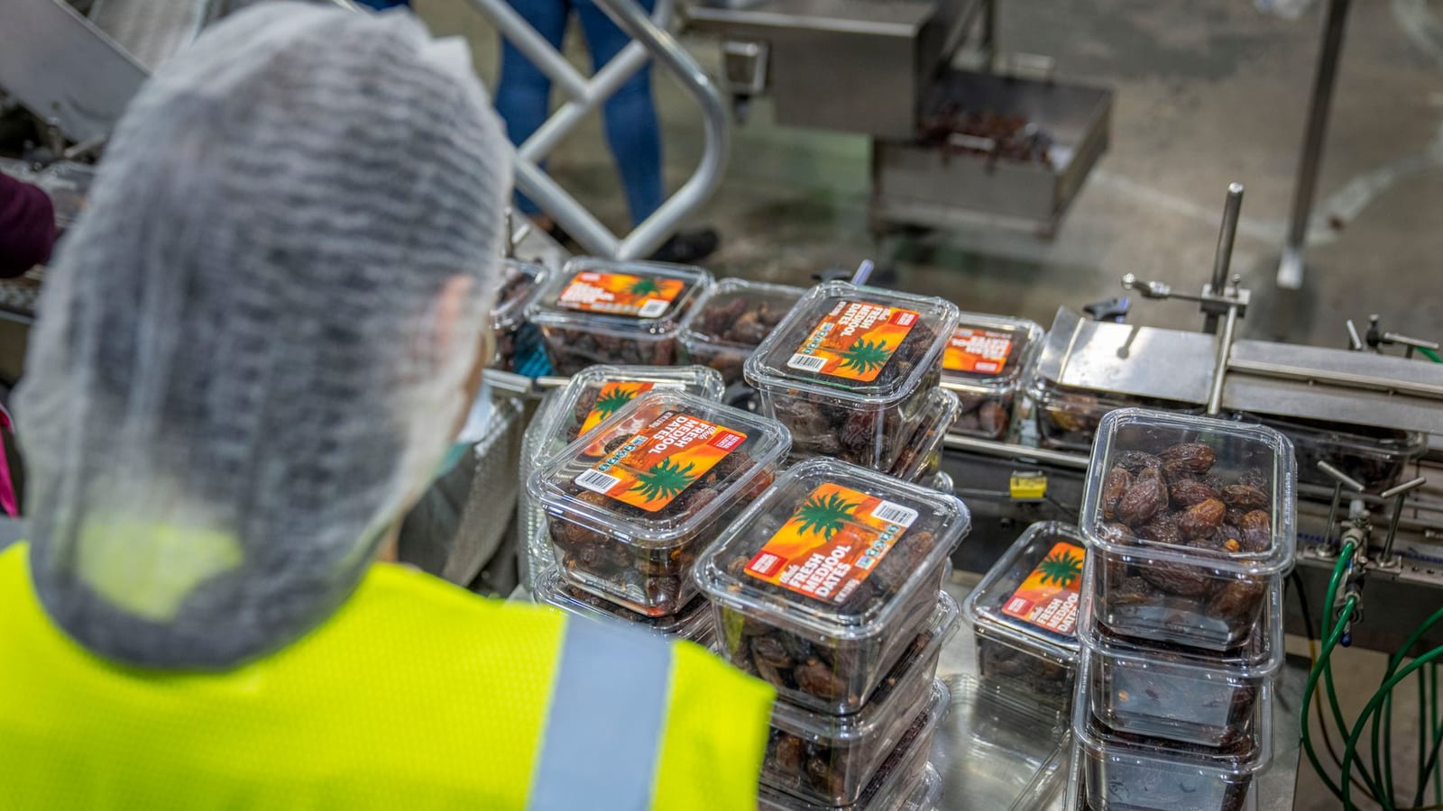 Food contract maker plans IPO of up to 85 lakh shares