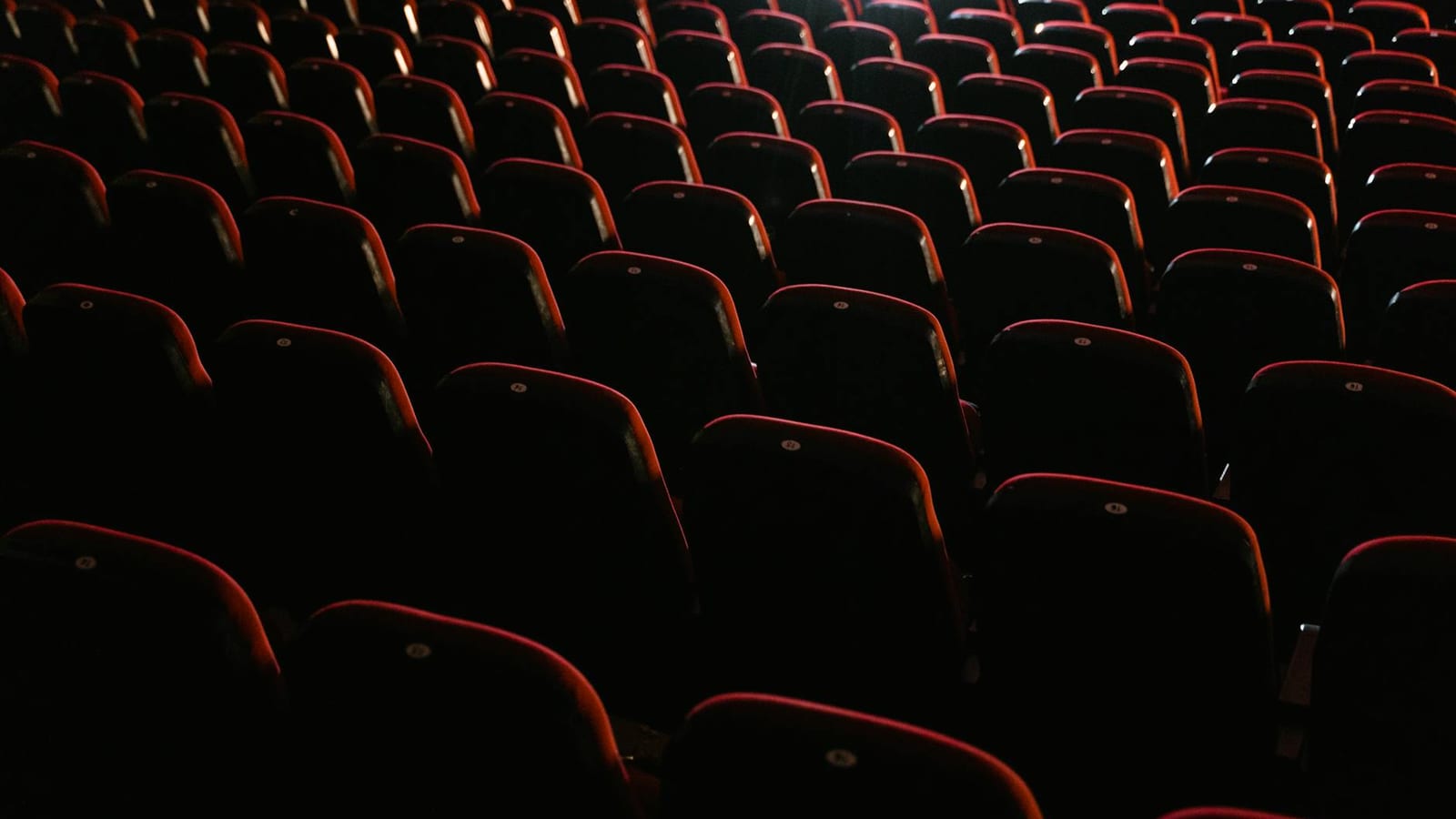 Hindi film reviews show crowded slate for viewers