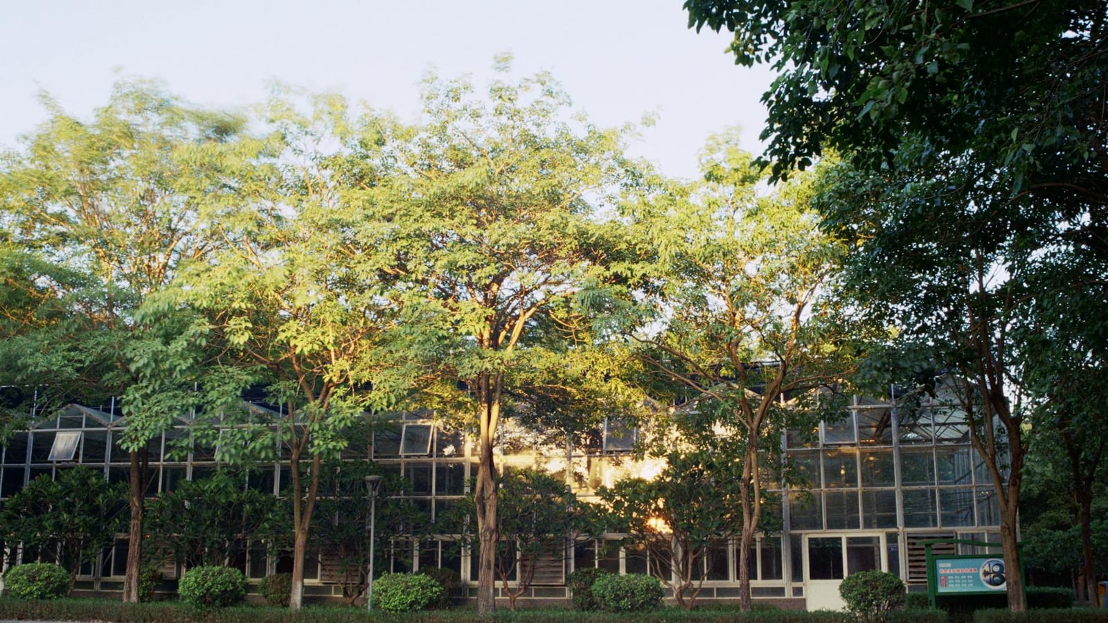 IIT Bombay Leads Maharashtra Engineering College List