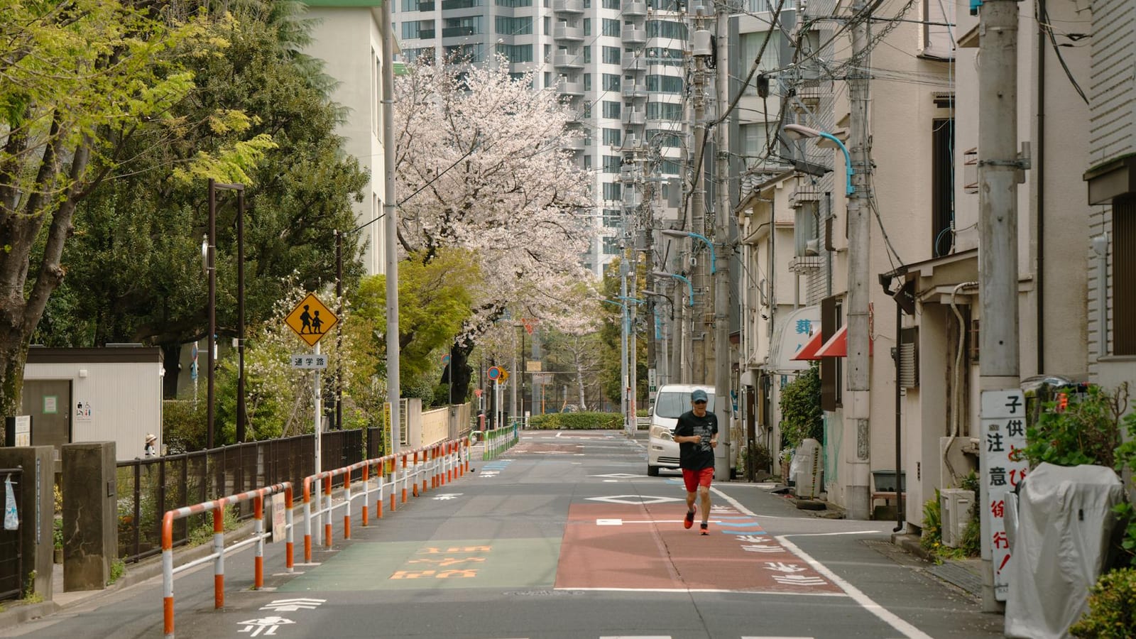 Indian travellers swap Gulf for Japan and Korea this summer