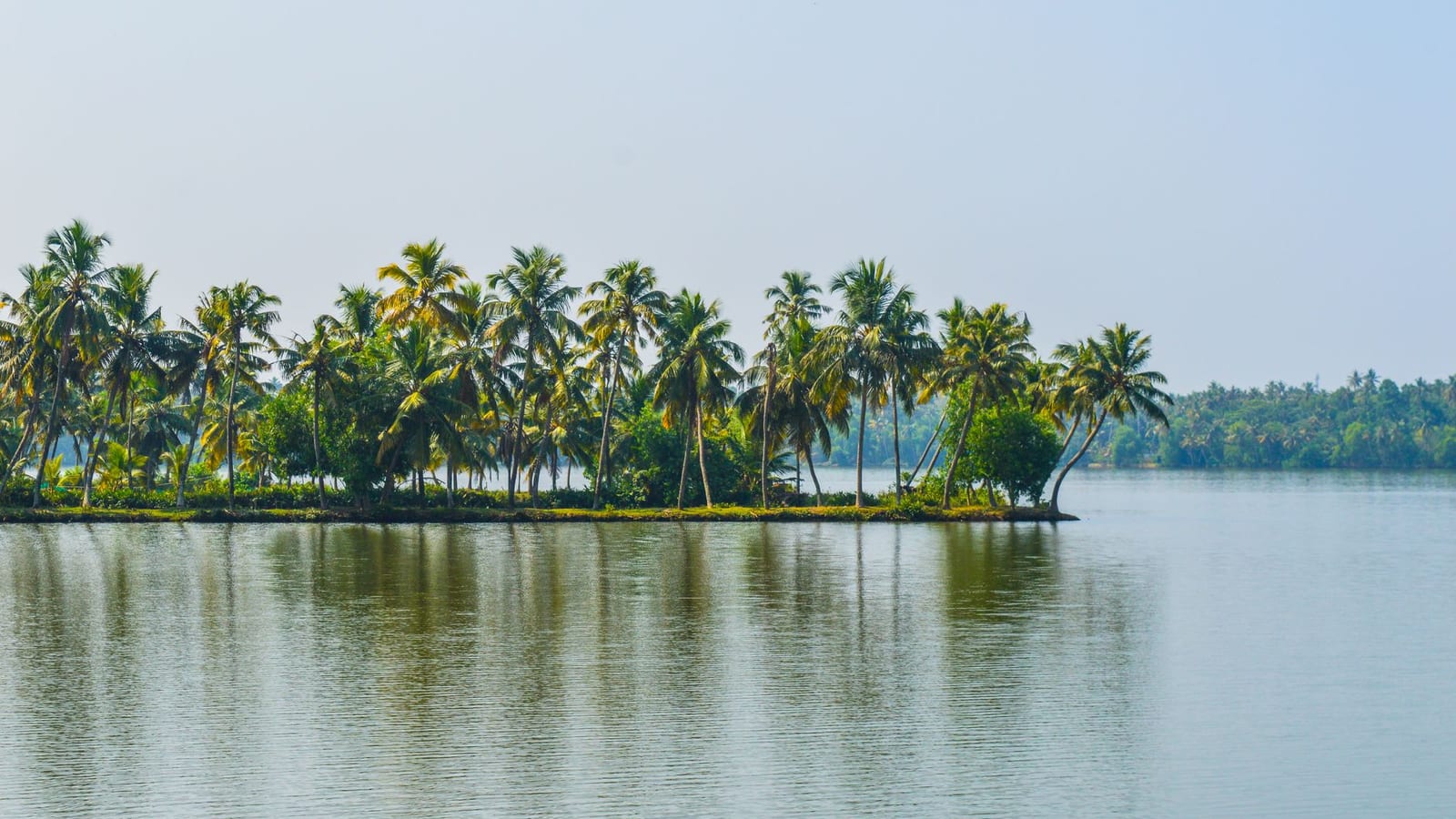 Kerala homes cash in as 50 tonnes of old gold sold