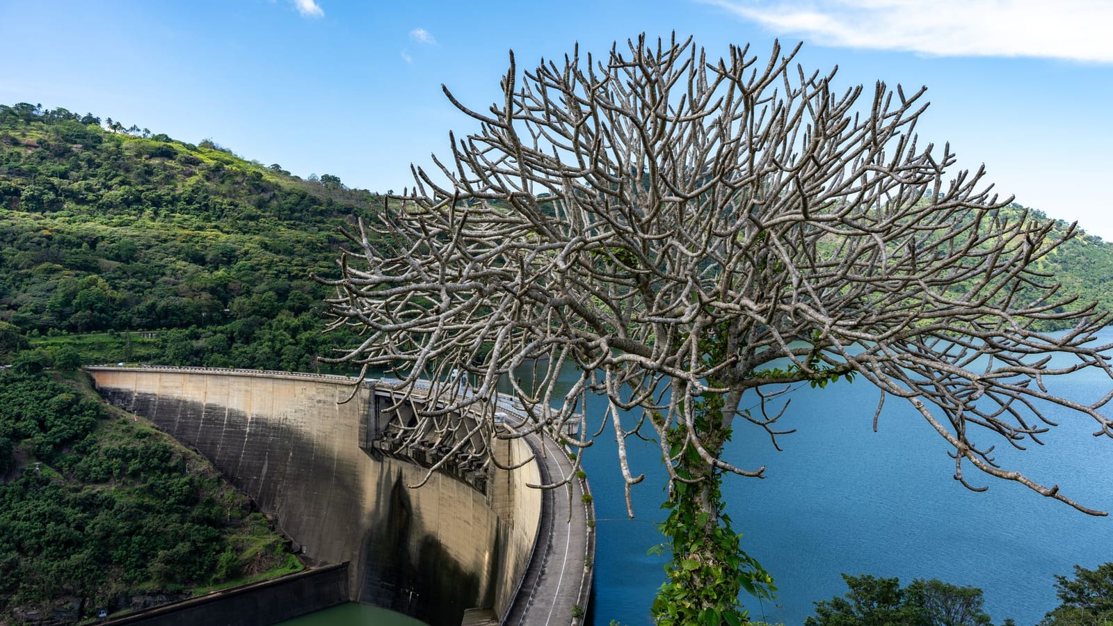 Kerala opens budget dam-view stays in Idukki for tourists