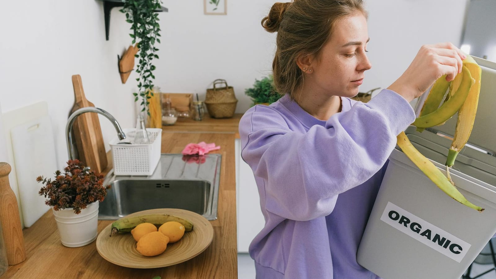 Kitchen Waste Machine Turns Composting Into Business
