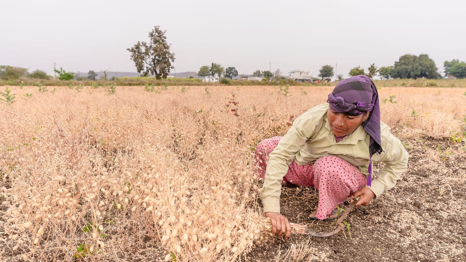 Maharashtra farm loan waiver delay raises civic concerns