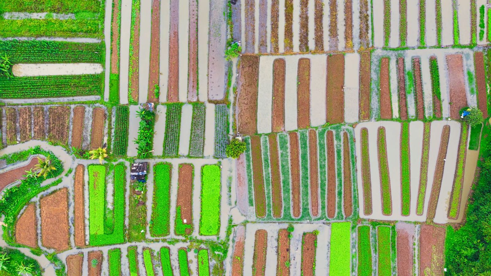 Maharashtra Farm Loan Waiver Faces Fresh July Delay