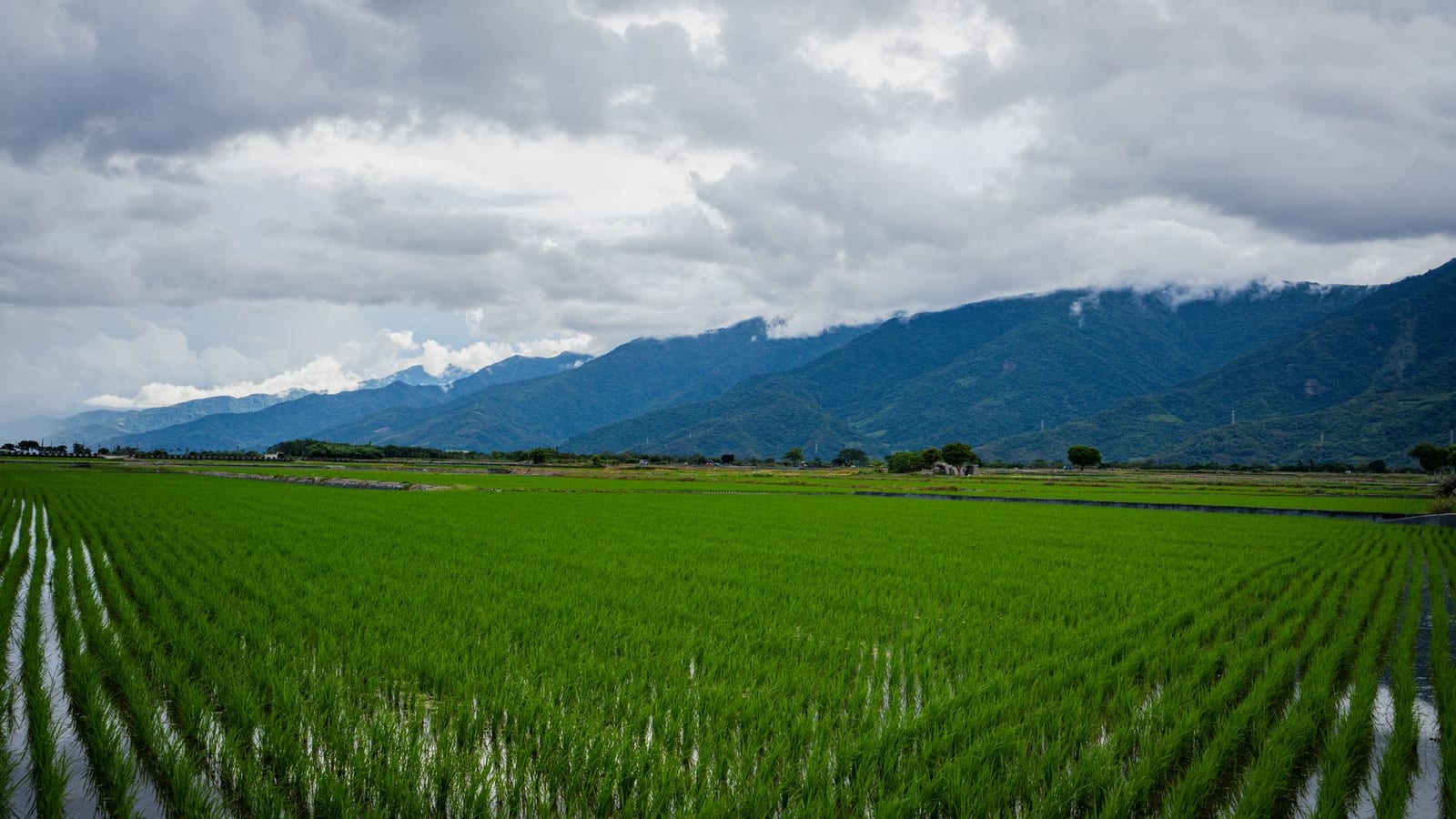 Maharashtra Monsoon Reaches Vidarbha but Dams Stay Low