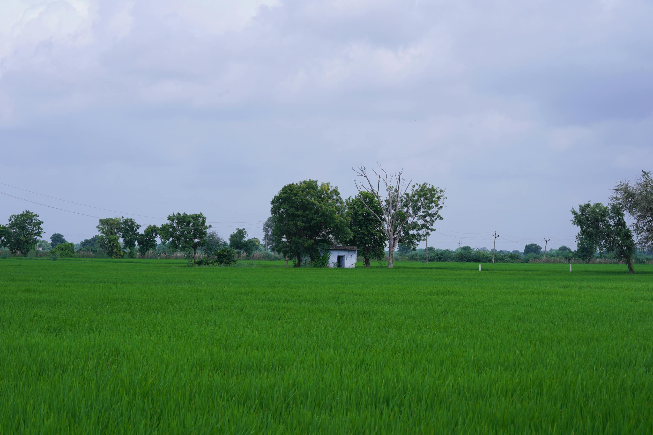 Maharashtra Slashes Virar-Alibag Land Rates, Panvel Farmers Erupt