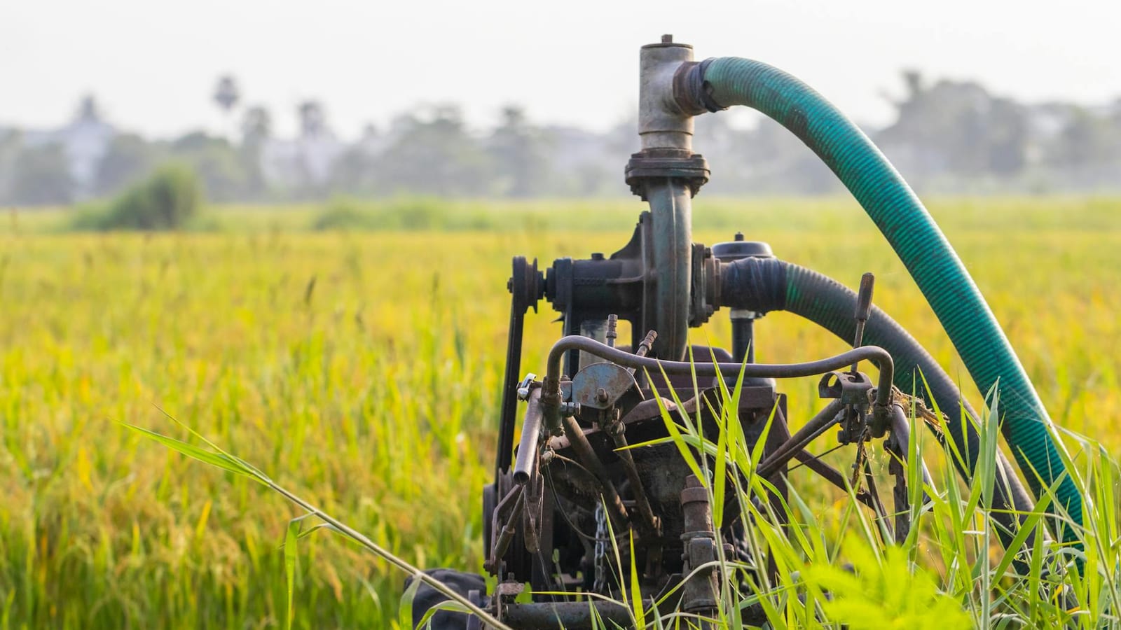 Maharashtra To Take Pune Agri Hackathon Statewide