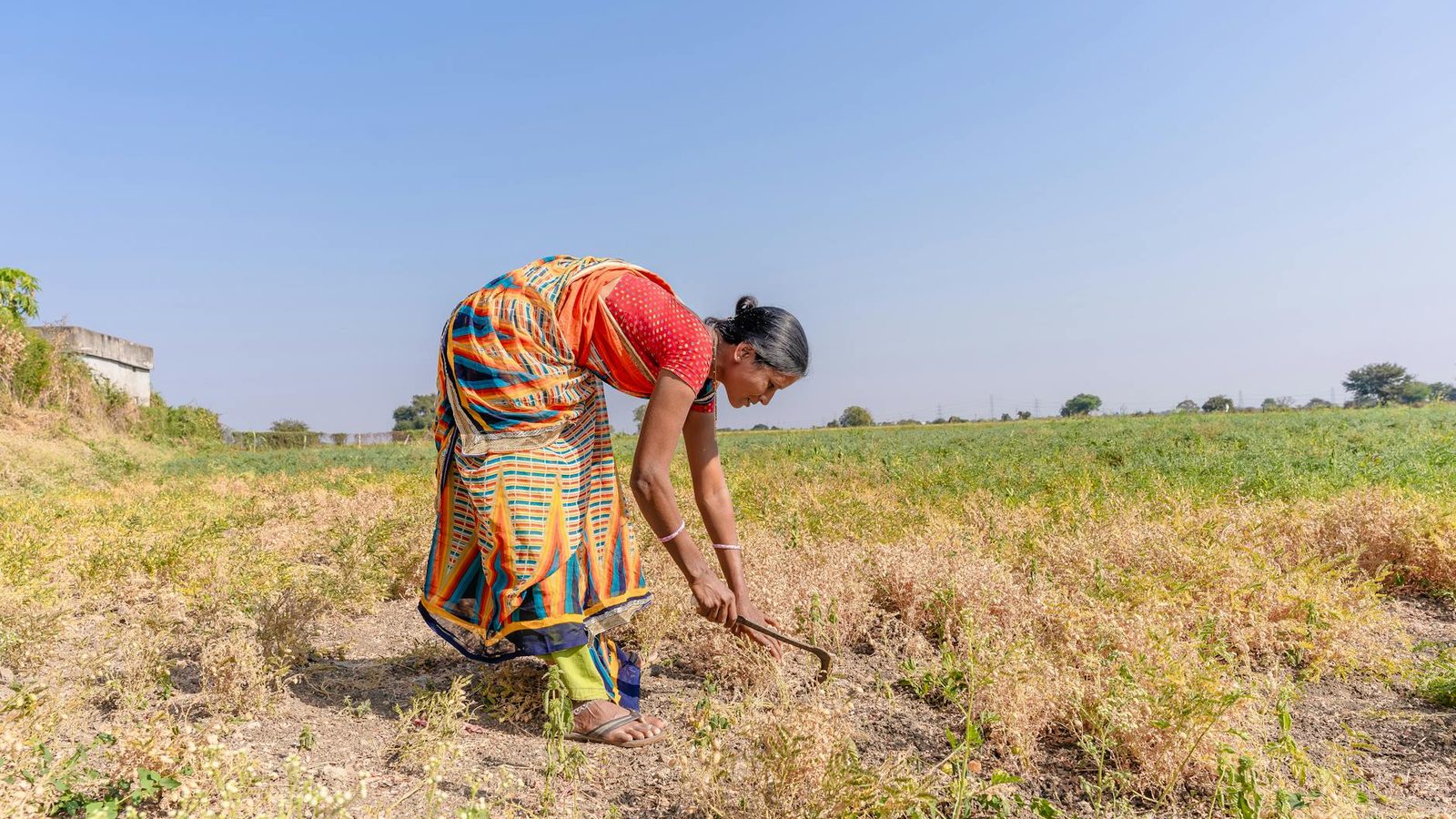 Nanded farmer's daughter clears Class 10 with 35 in each paper