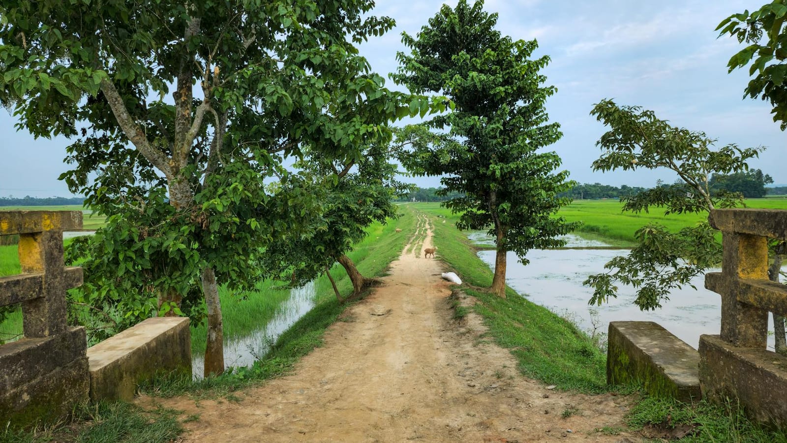 Punjab families get closure as van found in canal