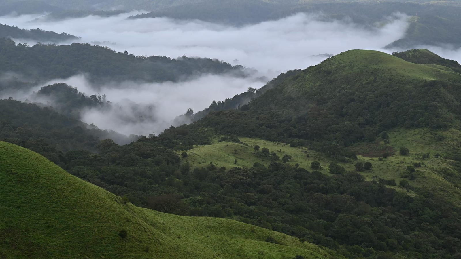 Short domestic getaways reshape India's 2026 travel plans