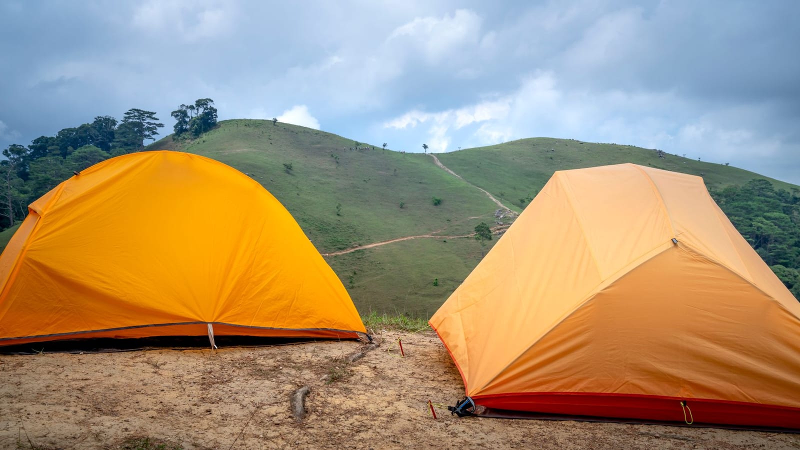 Solo Signups Drive Group Getaways Across Kerala Hills