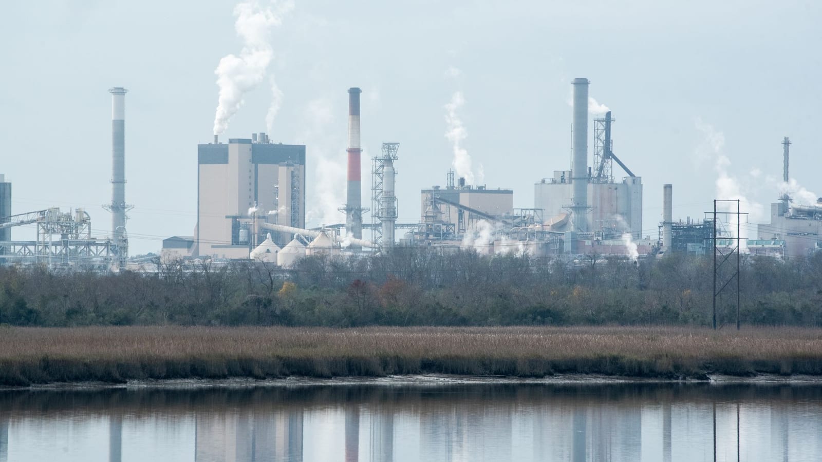 Tata Chemicals Faces Gujarat Court Heat Over Sanctuary