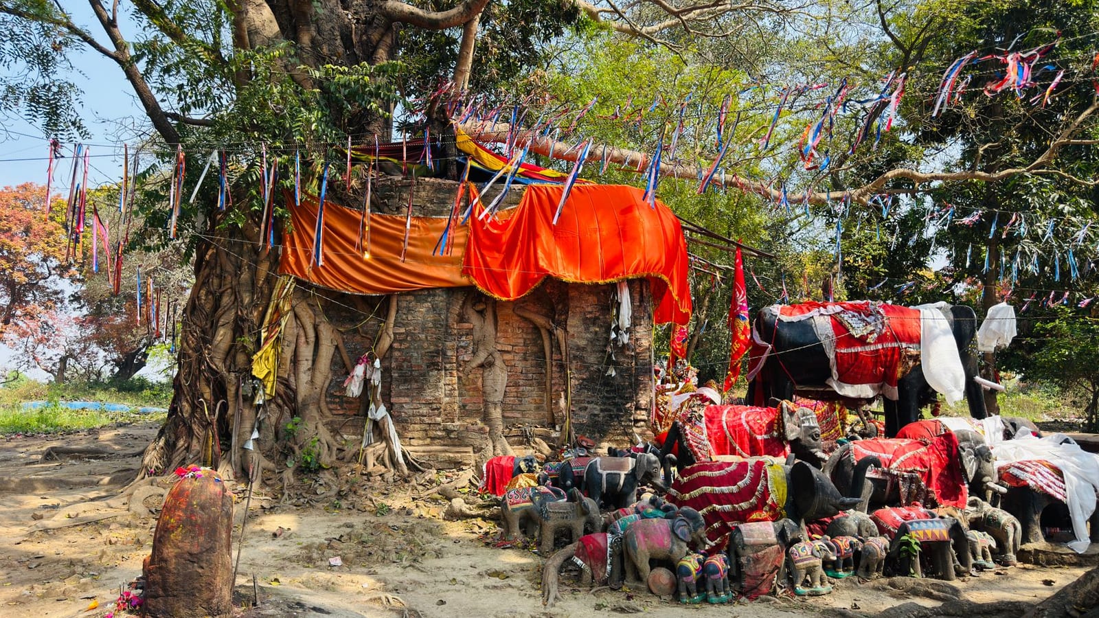Vat Purnima Wishes Fuel Digital Festival Economy