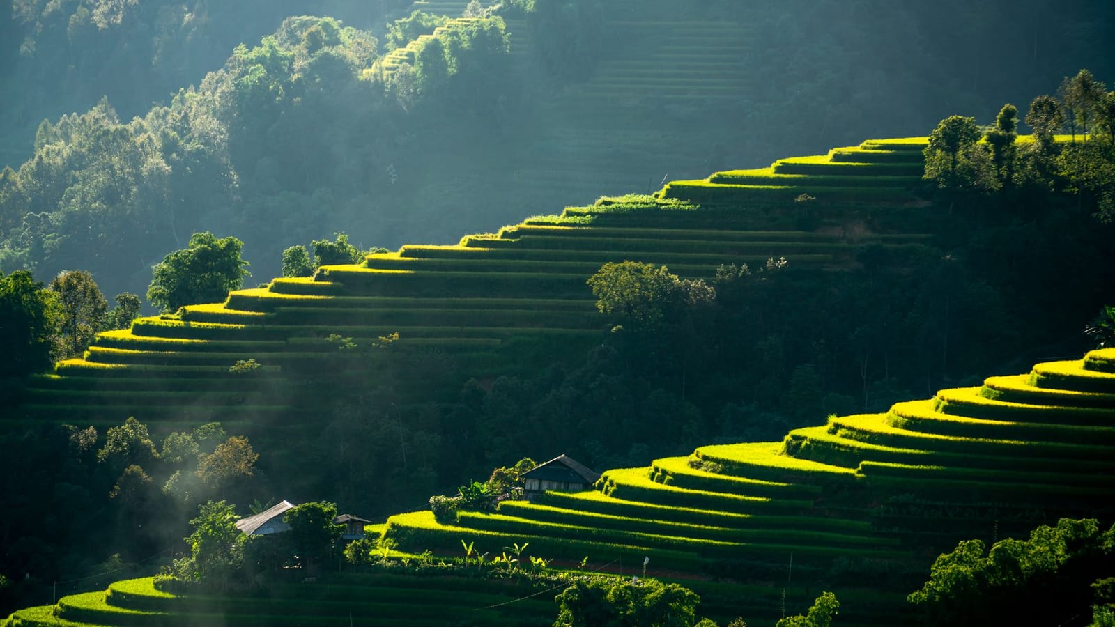 Vattavada farm stays draw tourists beyond Munnar