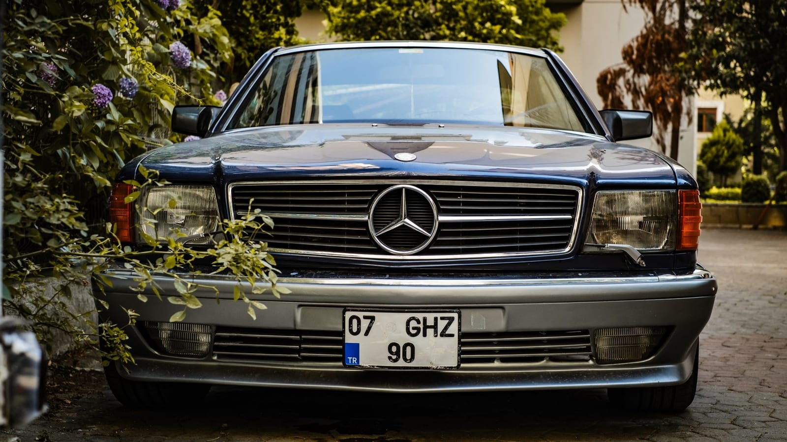 VIP Plates, Jantar Mantar Reel Put States in Focus
