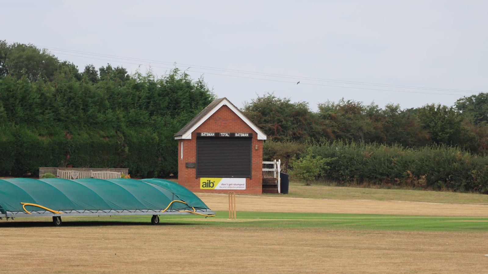 Women's T20 World Cup expands to 12 teams in England